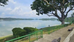 Upper Seletar Reservoir upper seletar reservoir (mandai road) 9