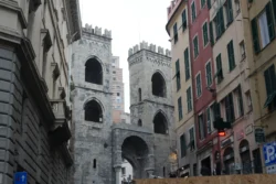 genova dslr (7)