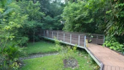 cashin house dslr (27)