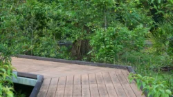 cashin house dslr (29)