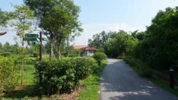 cashin house dslr (42)