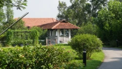 cashin house dslr (43)