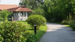 cashin house dslr (45)