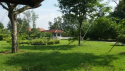 cashin house dslr (47)