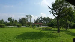 cashin house dslr (48)