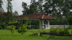 cashin house dslr (51)