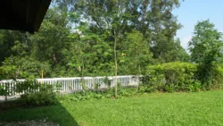 cashin house dslr (52)
