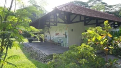 cashin house dslr (57)
