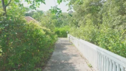 cashin house dslr (59)