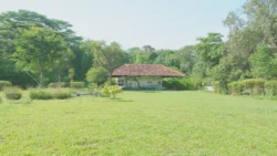 cashin house dslr (60)