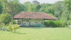 cashin house dslr (61)