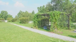 cashin house dslr (66)