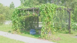 cashin house dslr (67)
