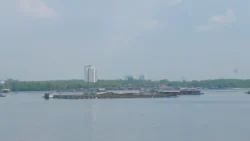 cashin house dslr (76)