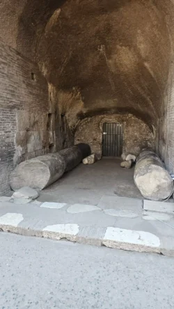 colosseum (arena) (141)