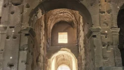 colosseum (arena) (26)