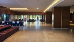 ergife palace hotel (3)