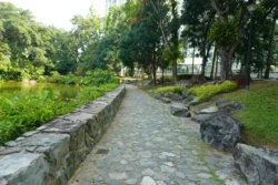 little guilin dslr (14)