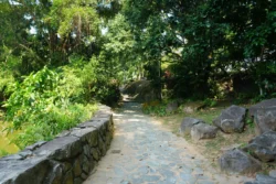 little guilin dslr (19)