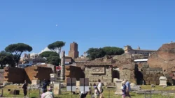 Palatine Hill palatine hill & roman forum (115)