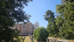 Palatine Hill palatine hill & roman forum (128)