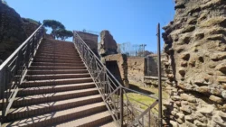 Palatine Hill palatine hill & roman forum (14)