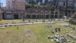 Palatine Hill palatine hill & roman forum (145)