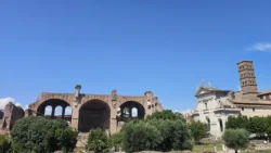 Palatine Hill palatine hill & roman forum (24)
