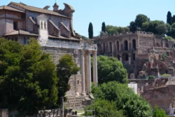 Palatine Hill palatine hill & roman forum dslr (109)