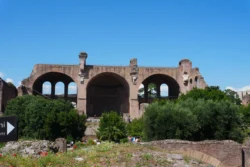 Palatine Hill palatine hill & roman forum dslr (17)