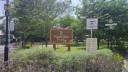 pasir ris beach park (1)