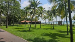 pasir ris beach park (17)