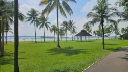 pasir ris beach park (18)