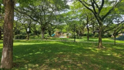 pasir ris beach park (20)