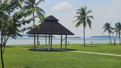 pasir ris beach park (21)