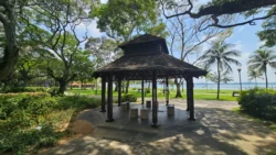 pasir ris beach park (26)