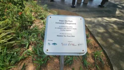 pasir ris beach park (27)