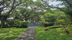 pasir ris beach park (31)