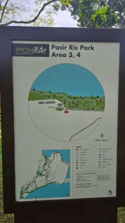 pasir ris beach park (4)