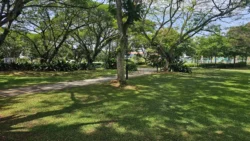 pasir ris beach park (5)