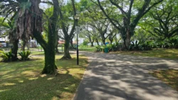 pasir ris beach park (6)