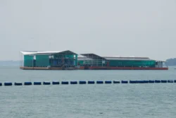 pasir ris beach park dslr (2)
